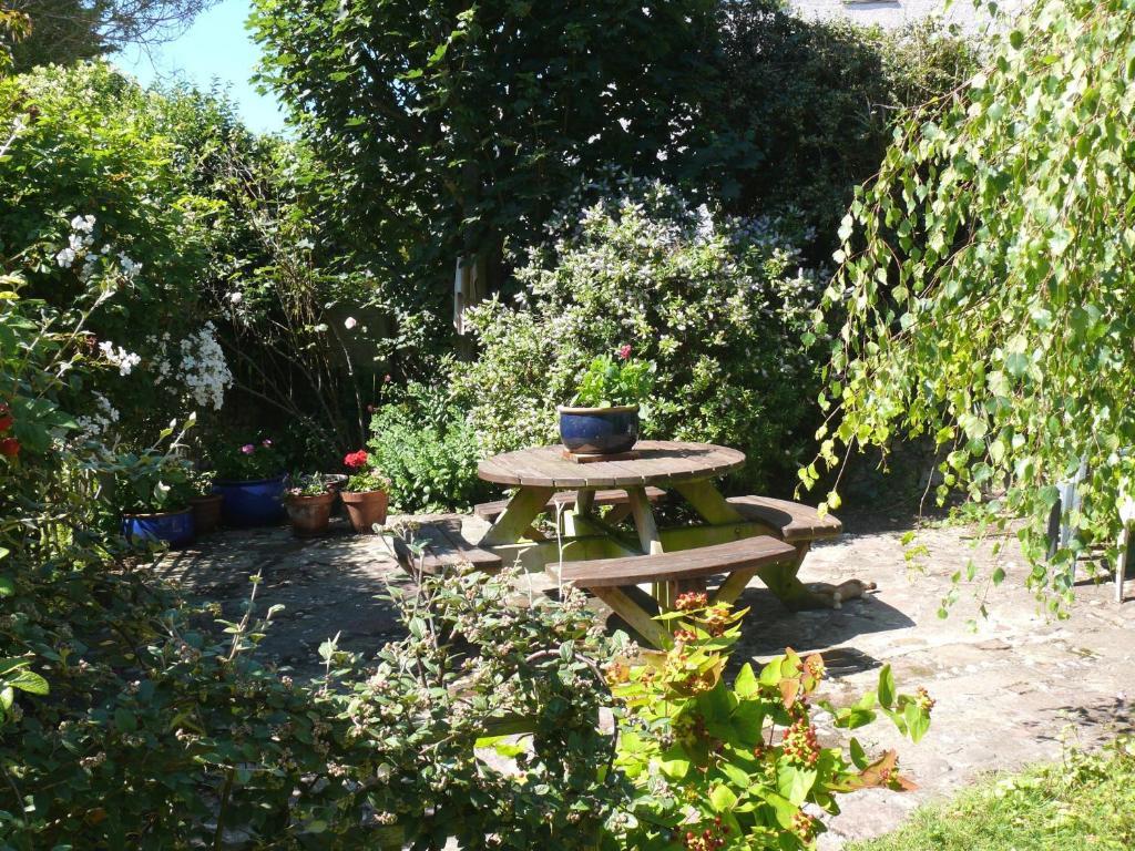 Cormorant House Bed & Breakfast Newquay  Exterior photo